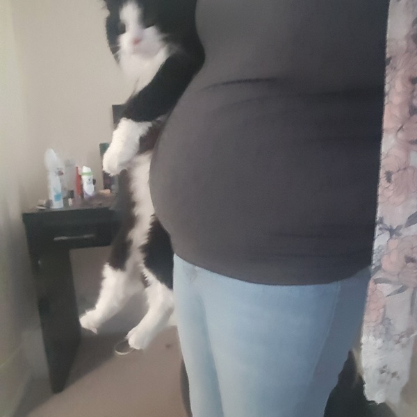 Thread #7 - TTC#1 Grads - Third Trimester Special