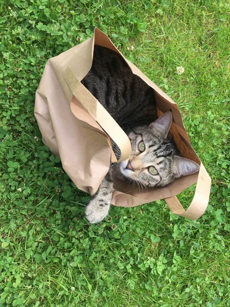 This isn't what I ordered!