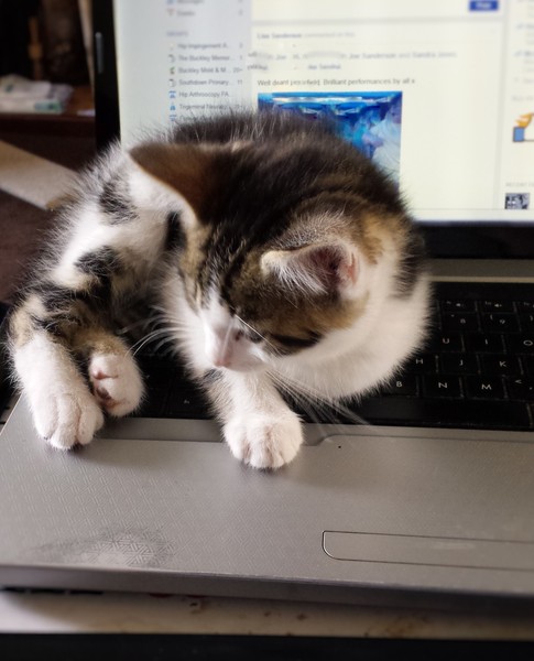 This isn't what I ordered!