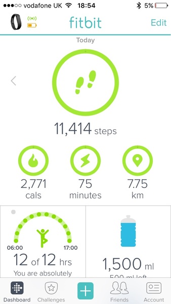 FitBit users