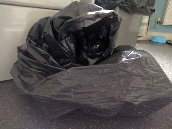 This isn't what I ordered!