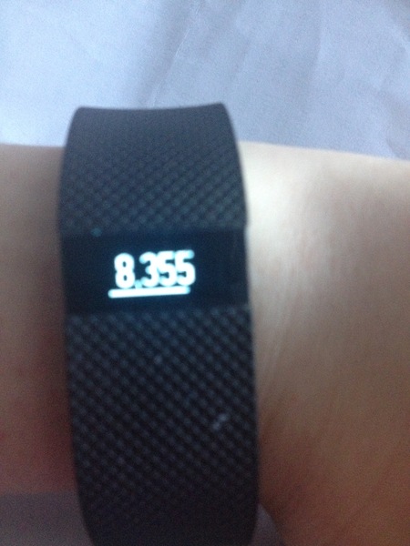 FitBit users