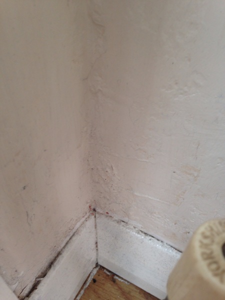 Damp Issues