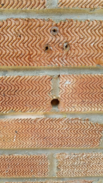 To pay a beekeeper to move a nest?