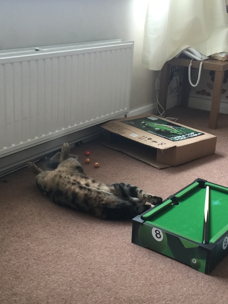 This isn't what I ordered!