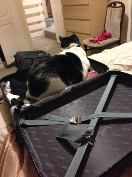 This isn't what I ordered!