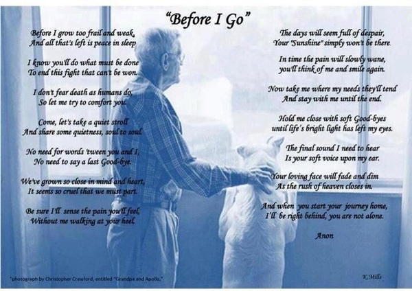 anyone else still think about a dog they had years ago?
