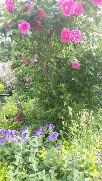 Our Girl and Captain James Addicts XXXVI