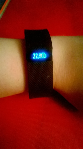 Calling all FitBit 20k Challengers!