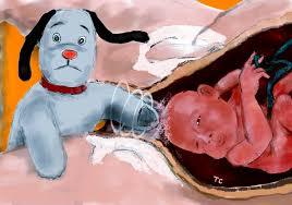 July 2016 Babies (9) - let the babies commence!