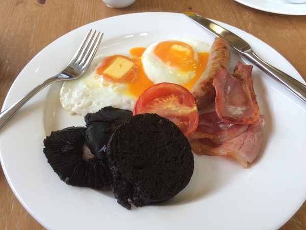 Week 3 - Pre-summer Low Carb Bootcamp - the choice is yours!