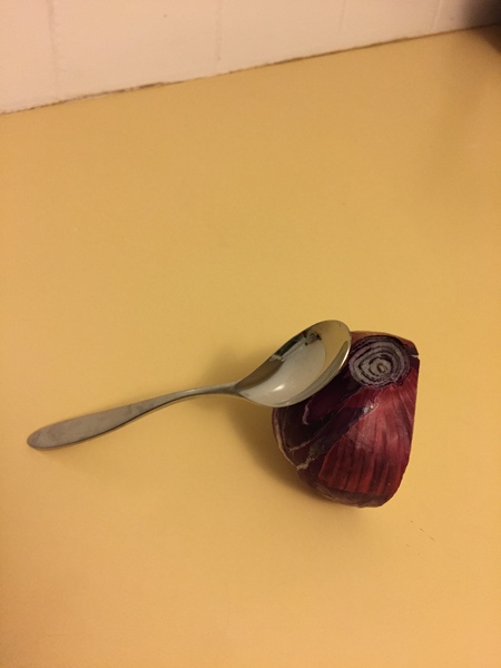 please critique our dinner