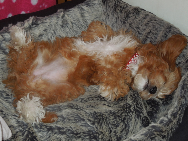 Photo thread anyone?