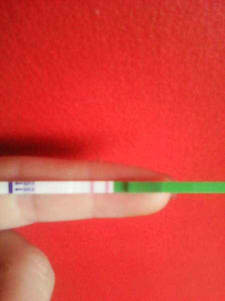 New to ovulation tests is this positive??