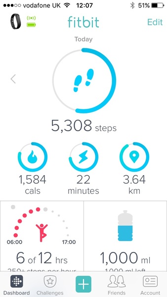 FitBit users