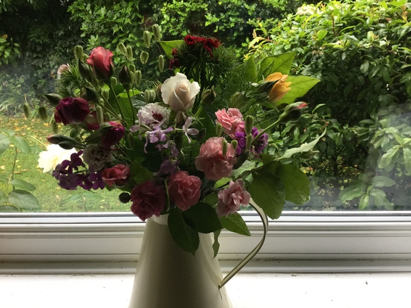 Advice on cut flower garden