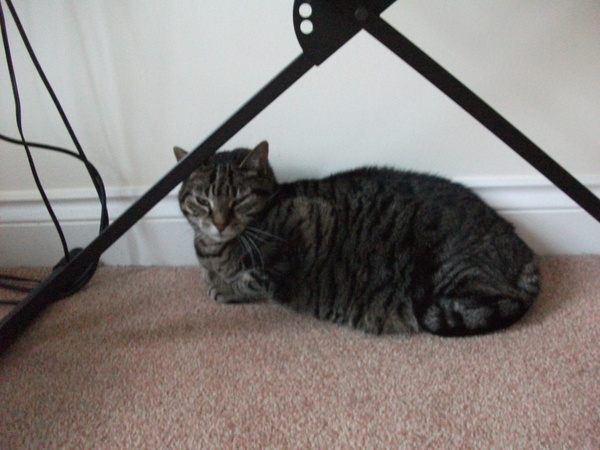 The frugaleers jovially jostle their way into June July and joyfulness