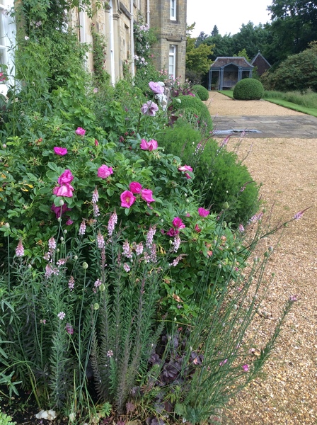 "in the midst of winter, I found there was within me, an invincible summer" Potting shed chat continues here