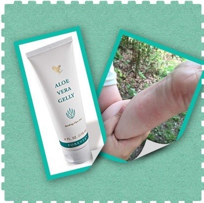 Forever Aloe Pic....