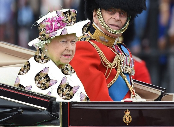 To think that whoever advised the Queen on what to wear today was having a laugh?