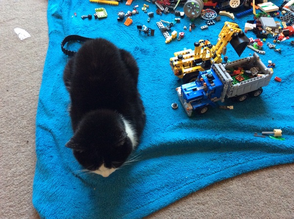 This isn't what I ordered!