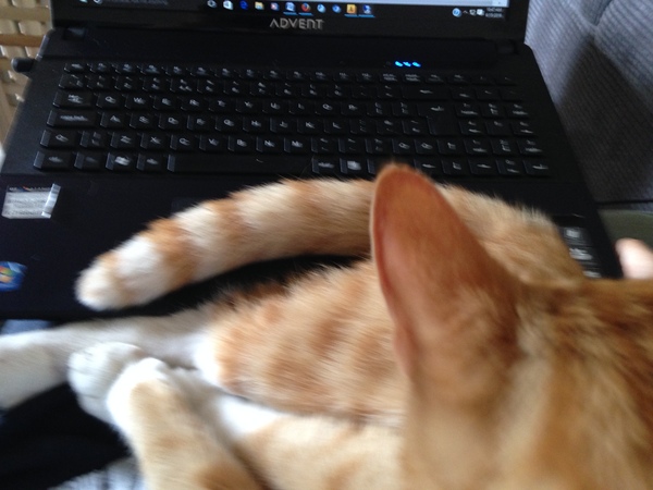 Work from home