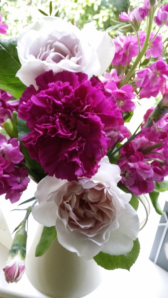 "in the midst of winter, I found there was within me, an invincible summer" Potting shed chat continues here