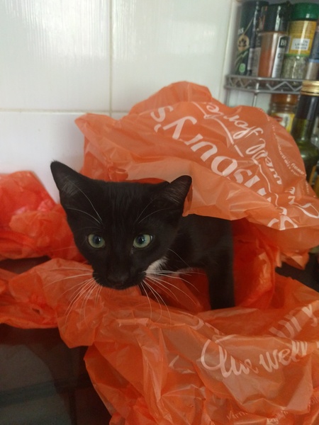 This isn't what I ordered!