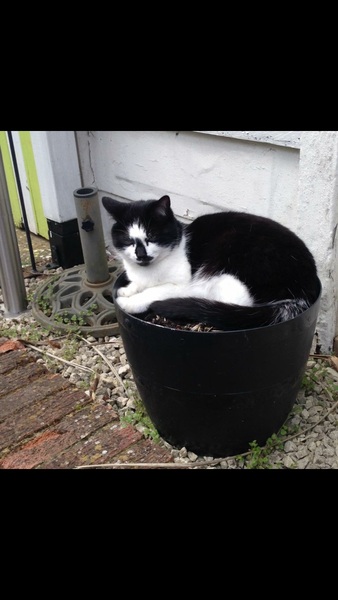 This isn't what I ordered!