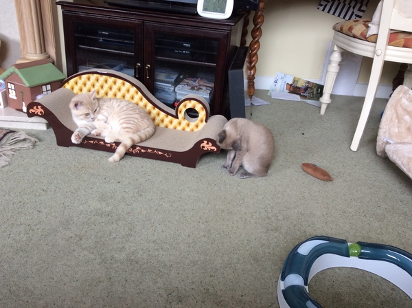 And then there were 3!