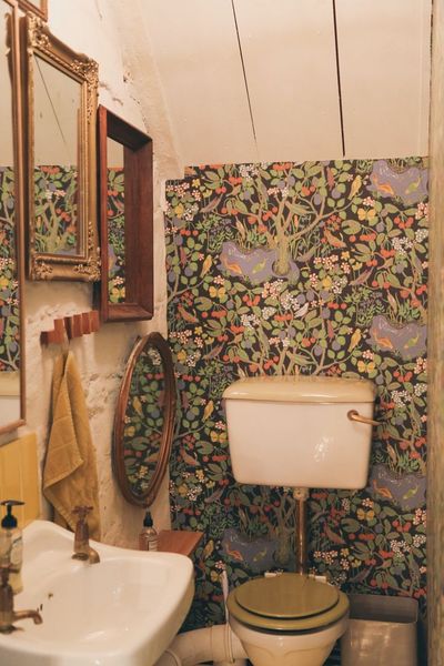 Would you mind showing me a picture of your downstairs toilet, please?