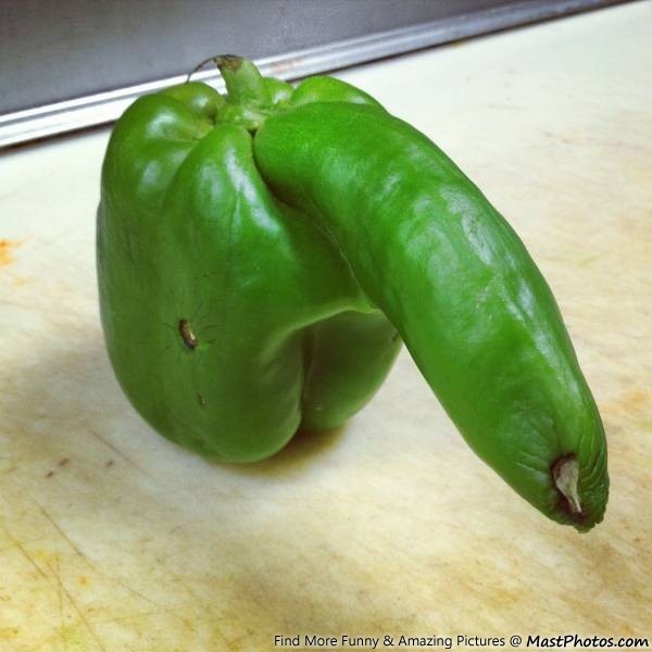 ...to think the green pepper is a waste of time?