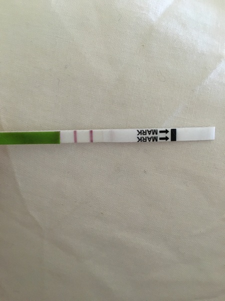 Positive OPK? (sorry!)