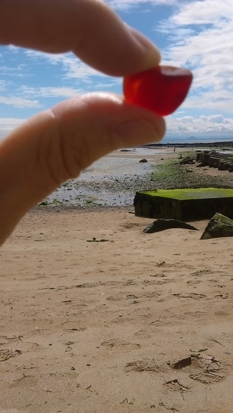 Brave Babes Battle Bus