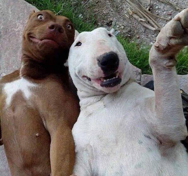 to think if this doesn't make you smile you might want check your pulse?
