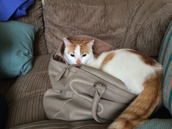 This isn't what I ordered!