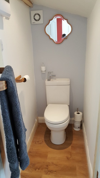 Would you mind showing me a picture of your downstairs toilet, please?