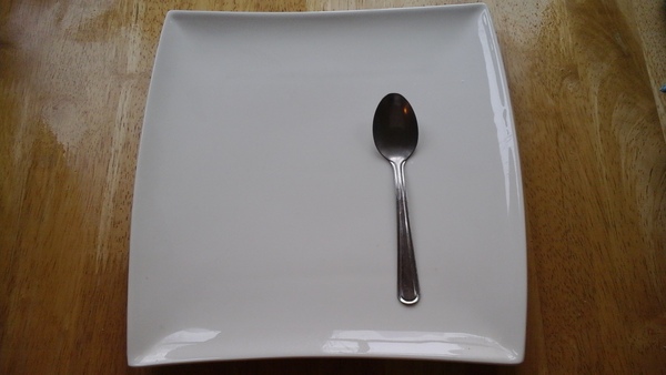 please critique our dinner