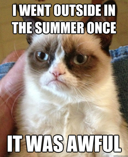 To actually hate most things about UK summers
