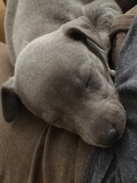 Photo thread anyone?
