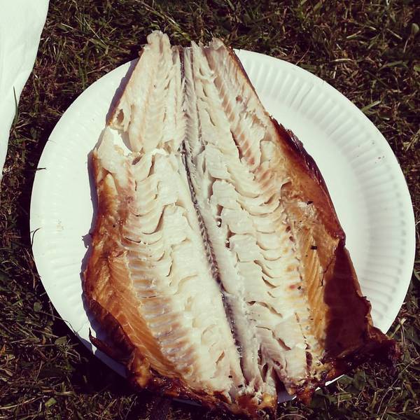 Week 3 - Pre-summer Low Carb Bootcamp - the choice is yours!