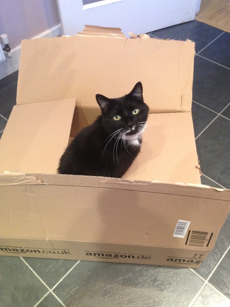 This isn't what I ordered!