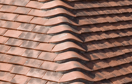 We may have to 'bite the bullet' on a new roof.