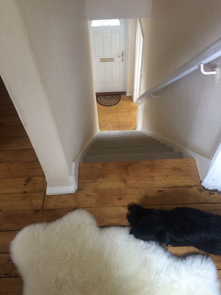 Stairs/hallway/landing help (picture attached)
