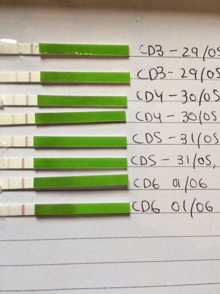 Dark OPK at CD3?!