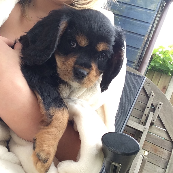 My gorgeous boy comes home tomorrow. Tips for his fist day home? (Pics!!)