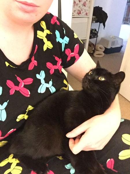 can I have a hand hold please?