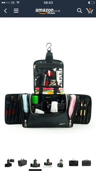 Can anyone recommend a good make-up bag with brush storage?