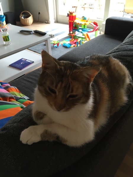 The frugaleers jovially jostle their way into June July and joyfulness