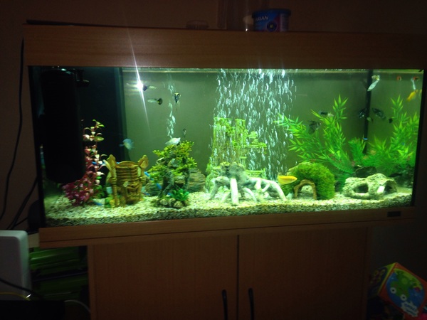 Anyone want to share aqaurium pics?